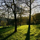 Spätsommerschatten