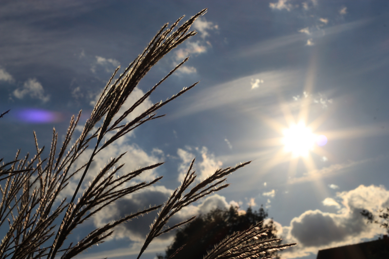 Spätsommersonne