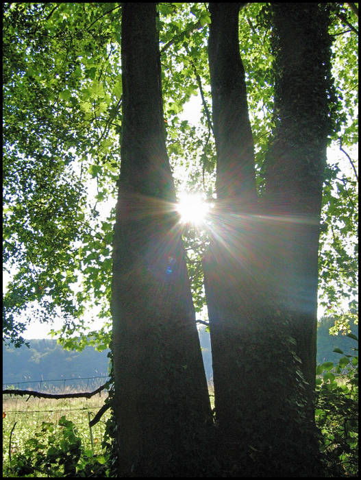 Spätsommersonne