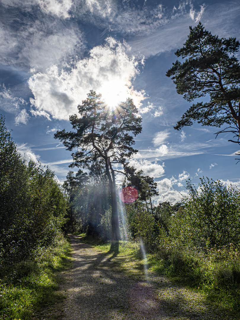 Spätsommersonne