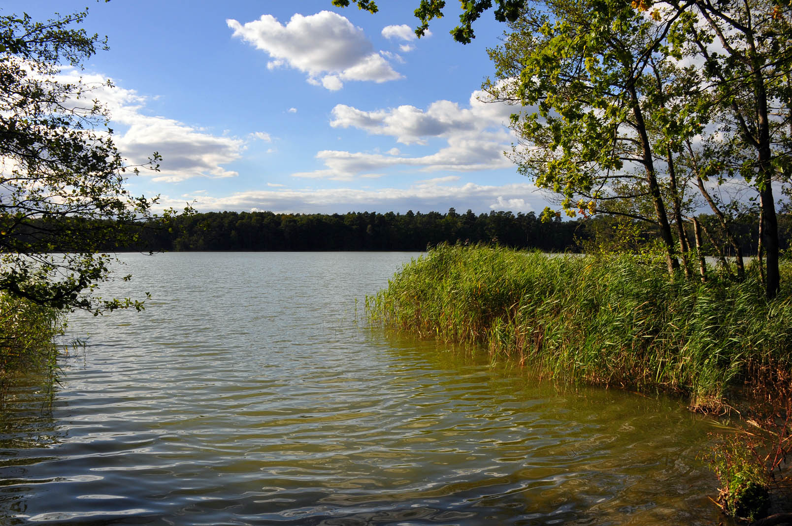 Spätsommersonne