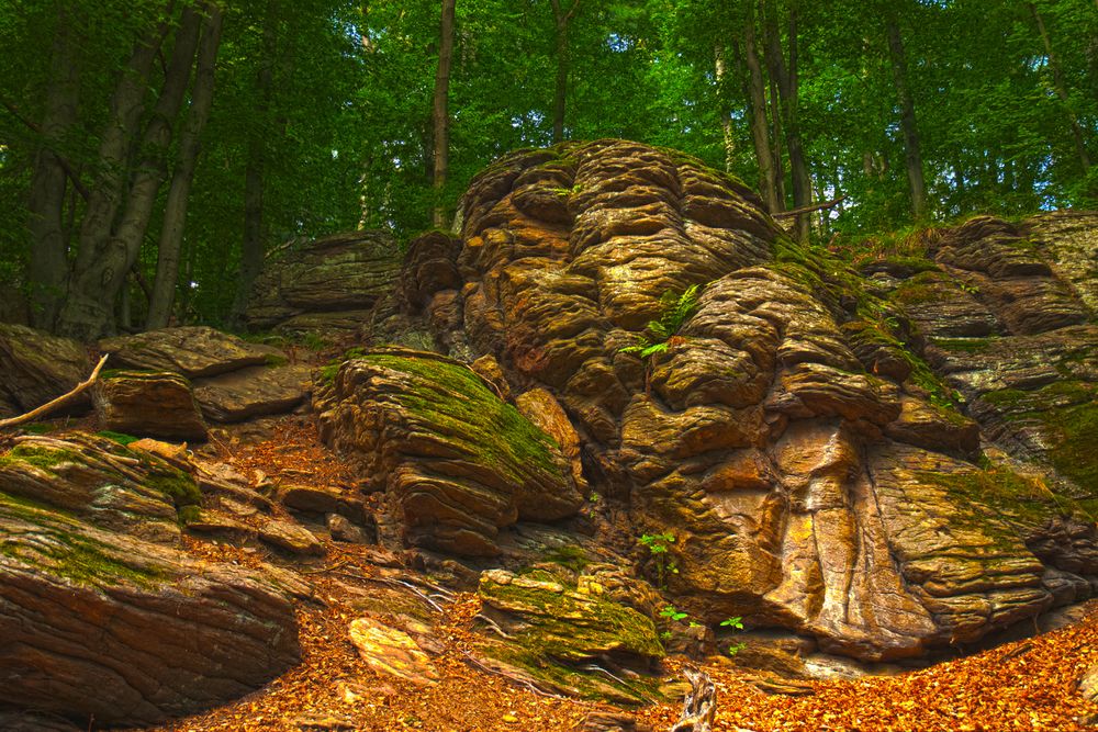 Spätsommerstimmung im Wald- Hotstone