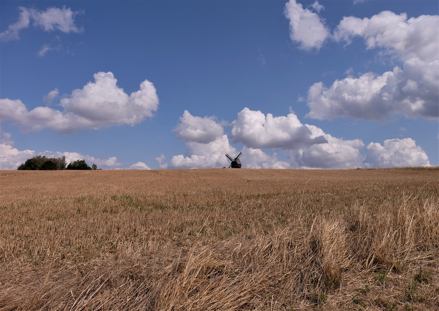 Spätsommertag