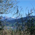 Spätsommertag am Oberen Zürichsee / Schweiz