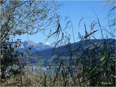 Spätsommertag am Oberen Zürichsee / Schweiz