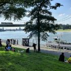 Spätsommertag am Rhein
