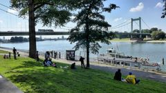 Spätsommertag am Rhein