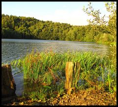 Spätsommertag am Weinbergersee