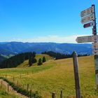 Spätsommertag auf dem Belchen