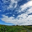 Spätsommertag im Volgelsberg