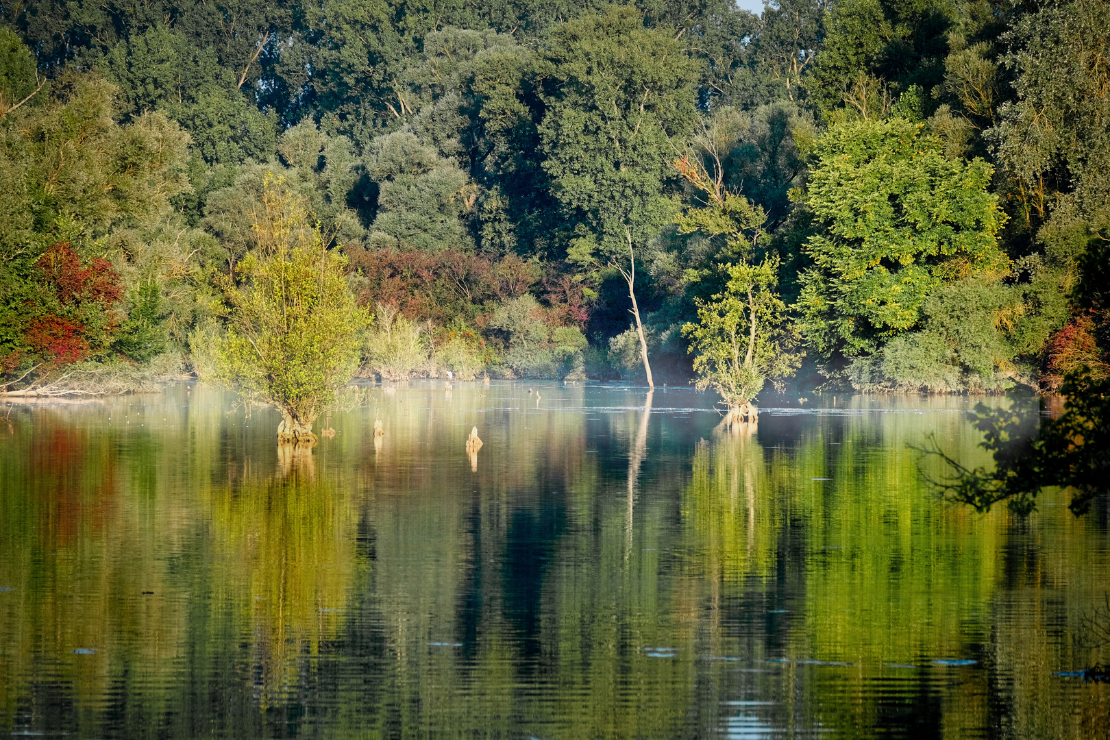 Spätsommerteich