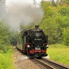 Spätsommerübergangindenherbststimmung