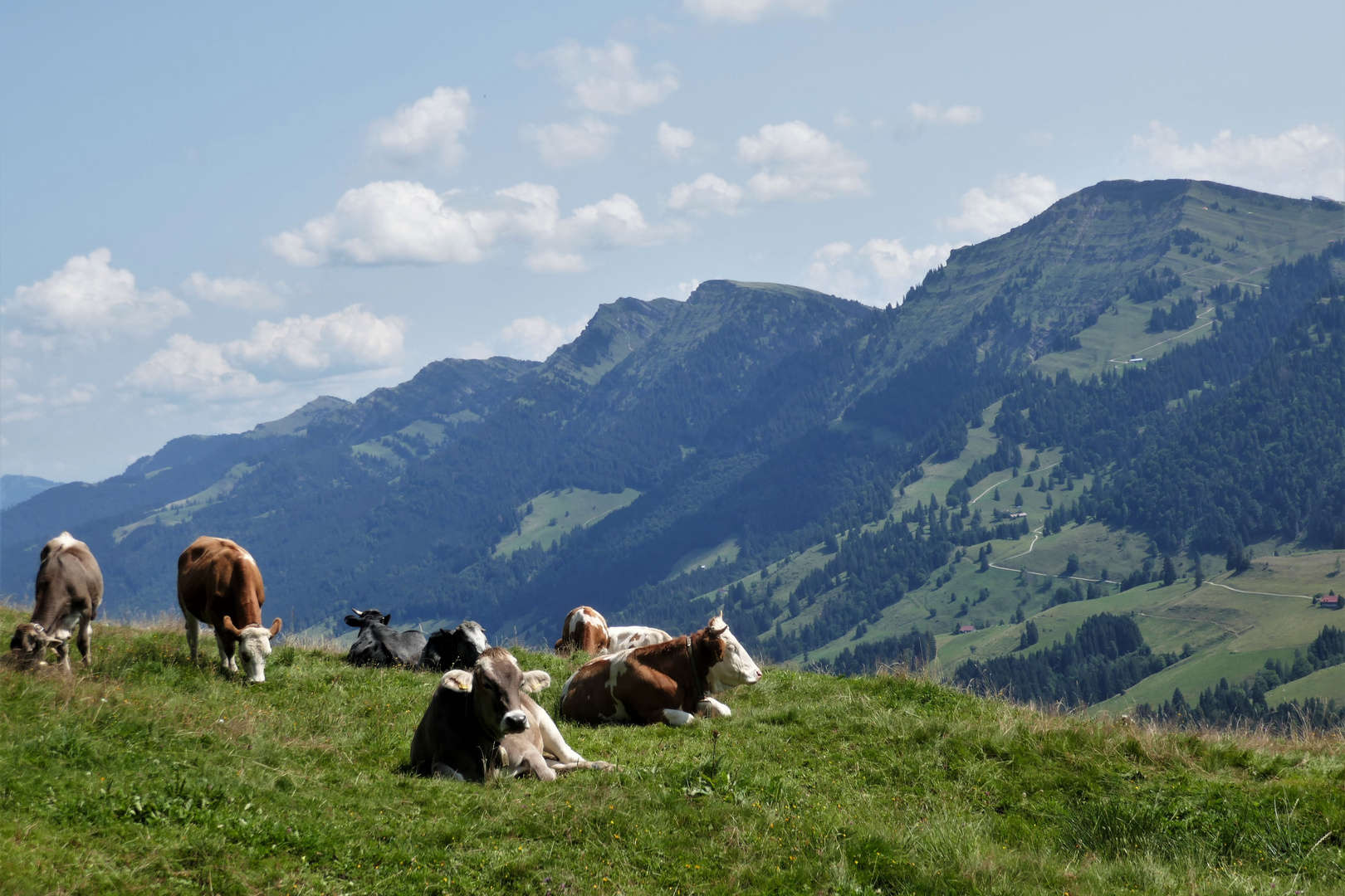 Spätsommerwärme genießen ...