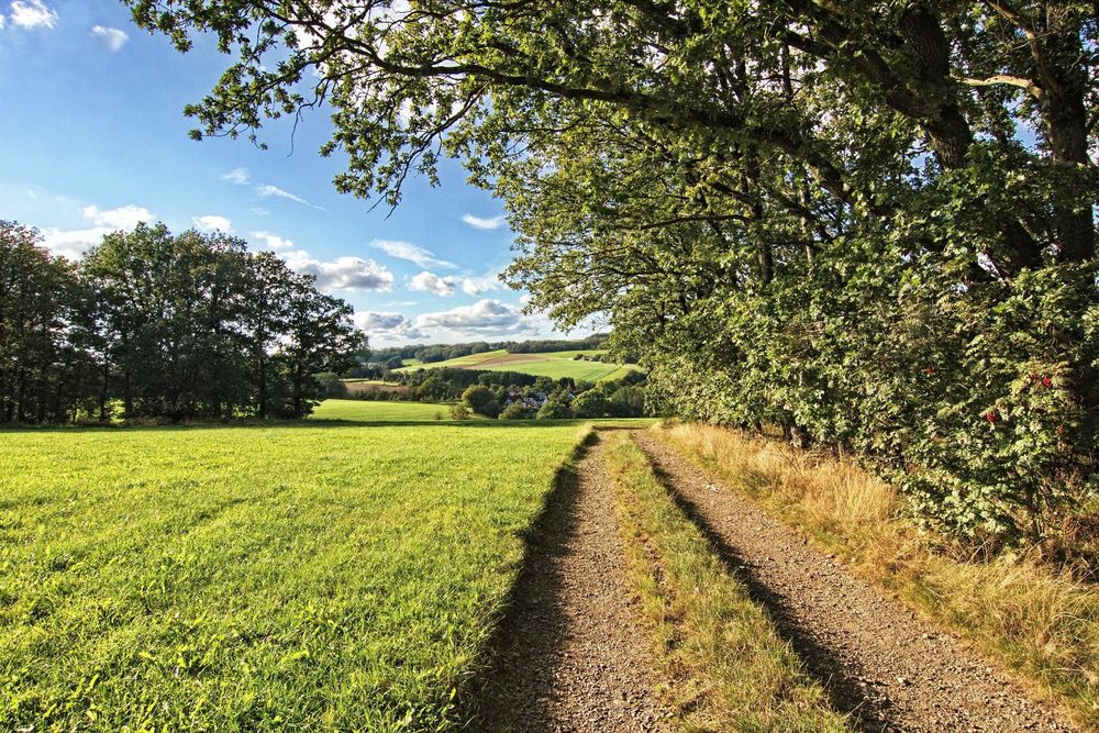 Spätsommerweg