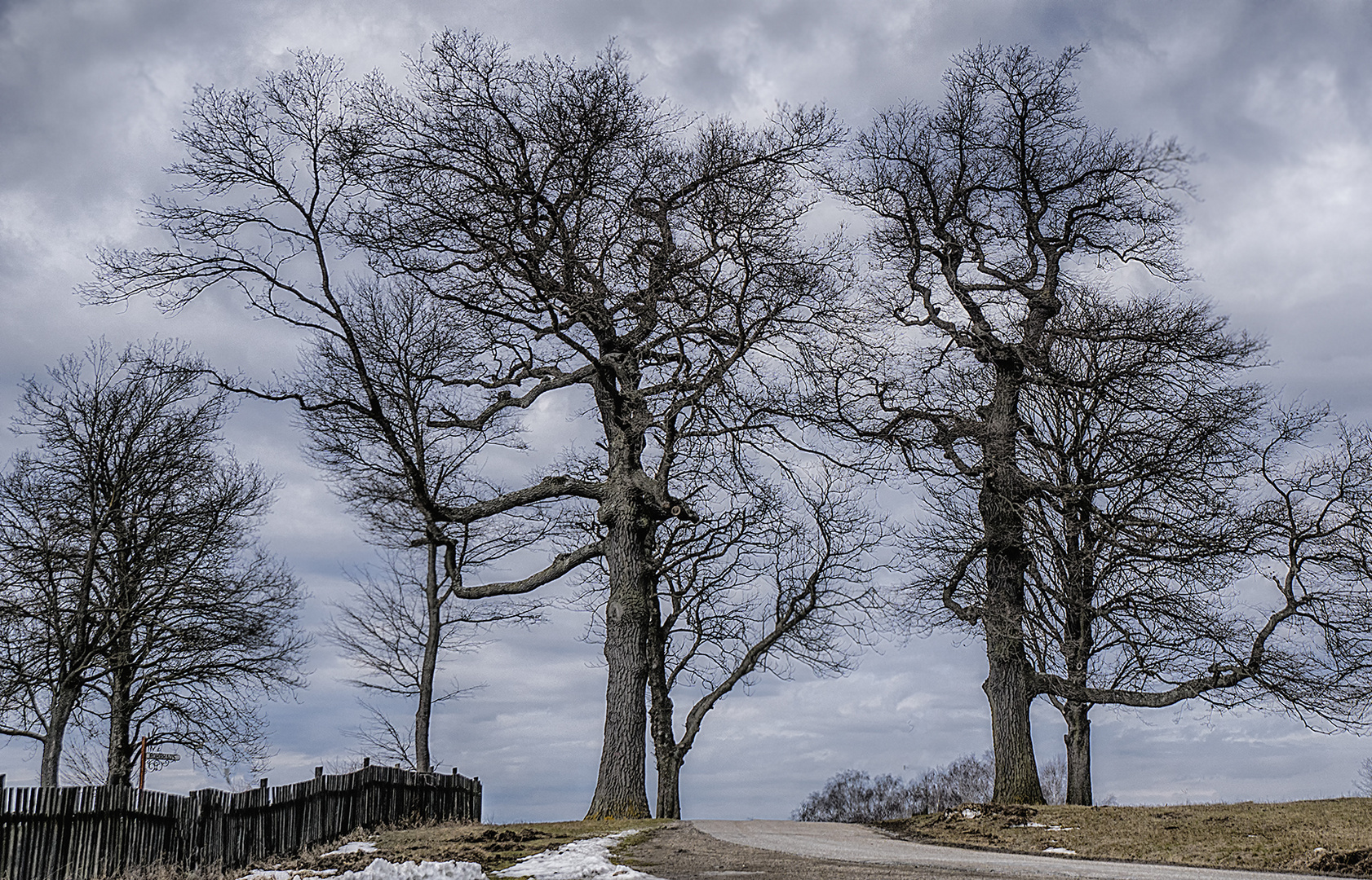 Spätwinter