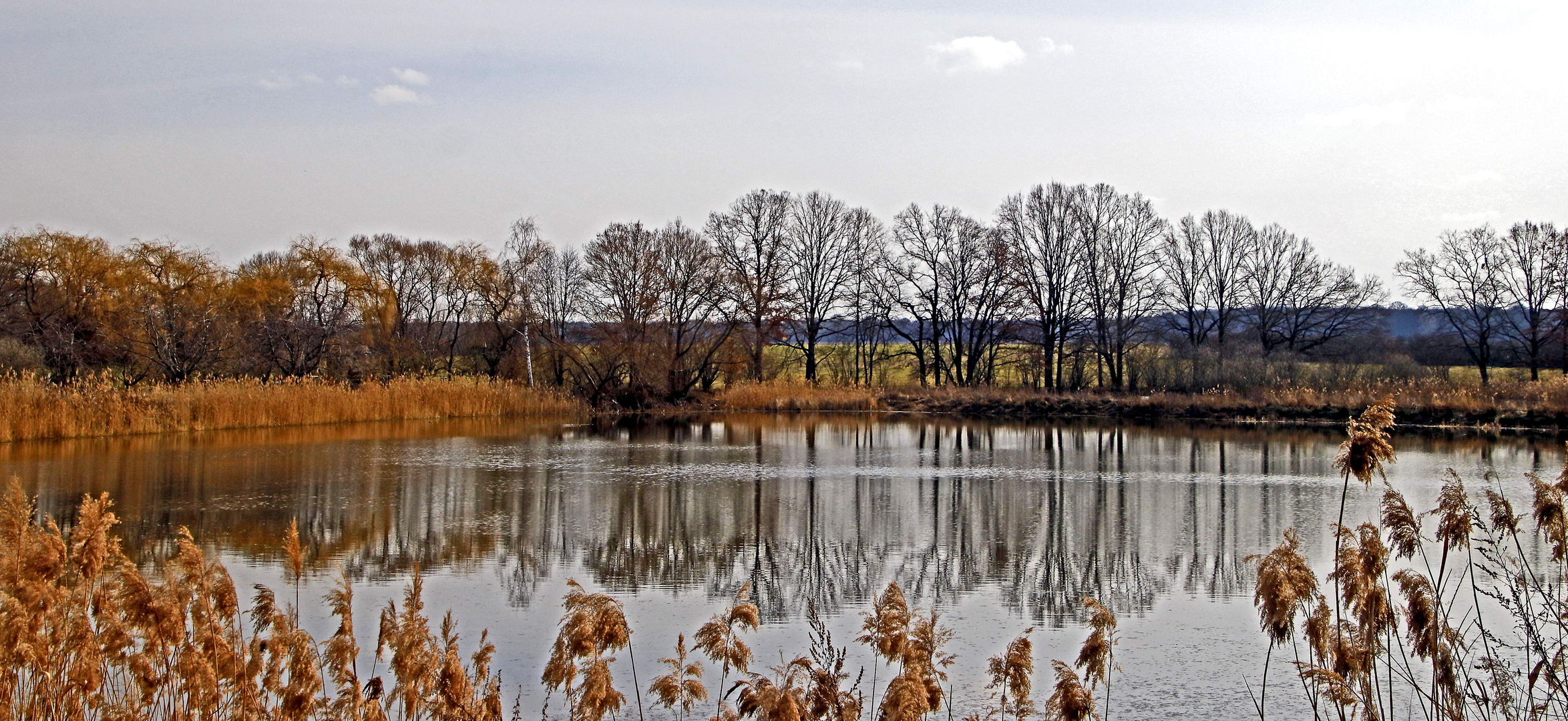 Spätwinter