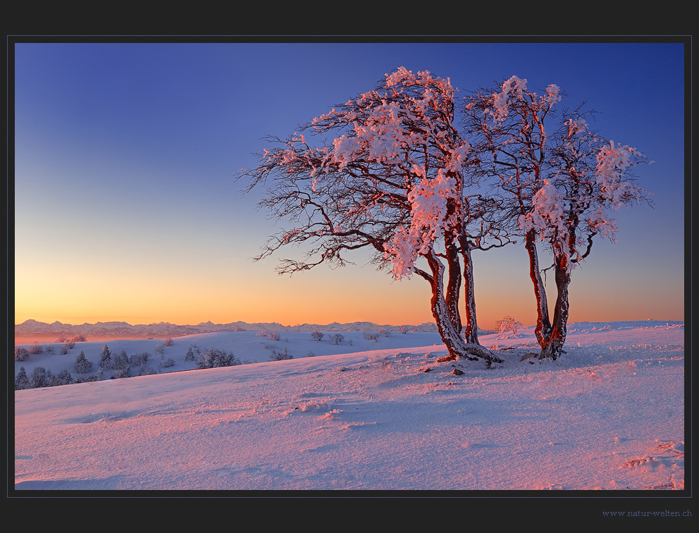 Spätwinter am Creux du Van