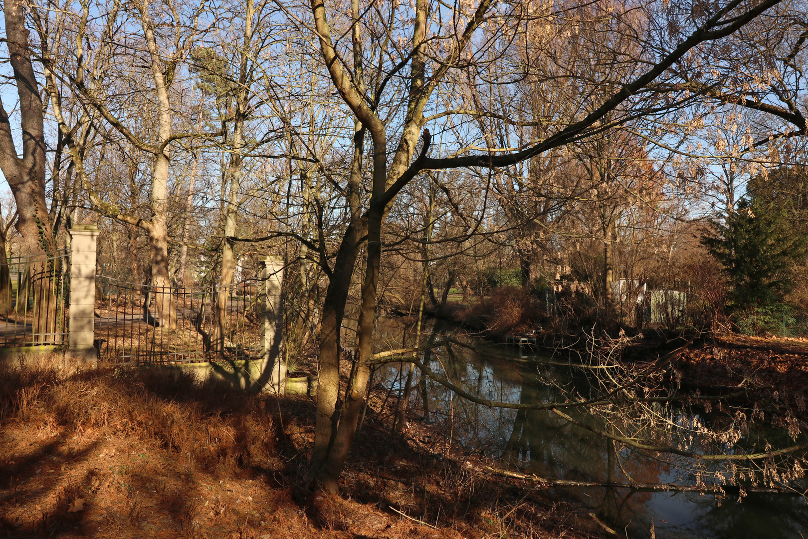 Spätwinter am Mühlengraben