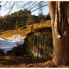 Spätwinter im Ailsbachtal