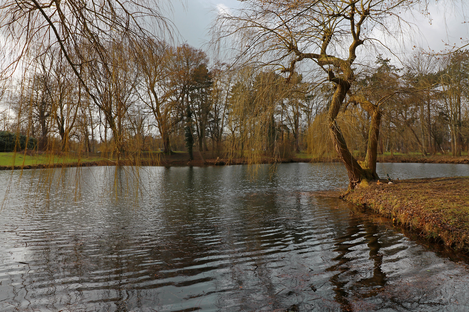 Spätwinter im Bürgerpark