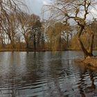 Spätwinter im Bürgerpark