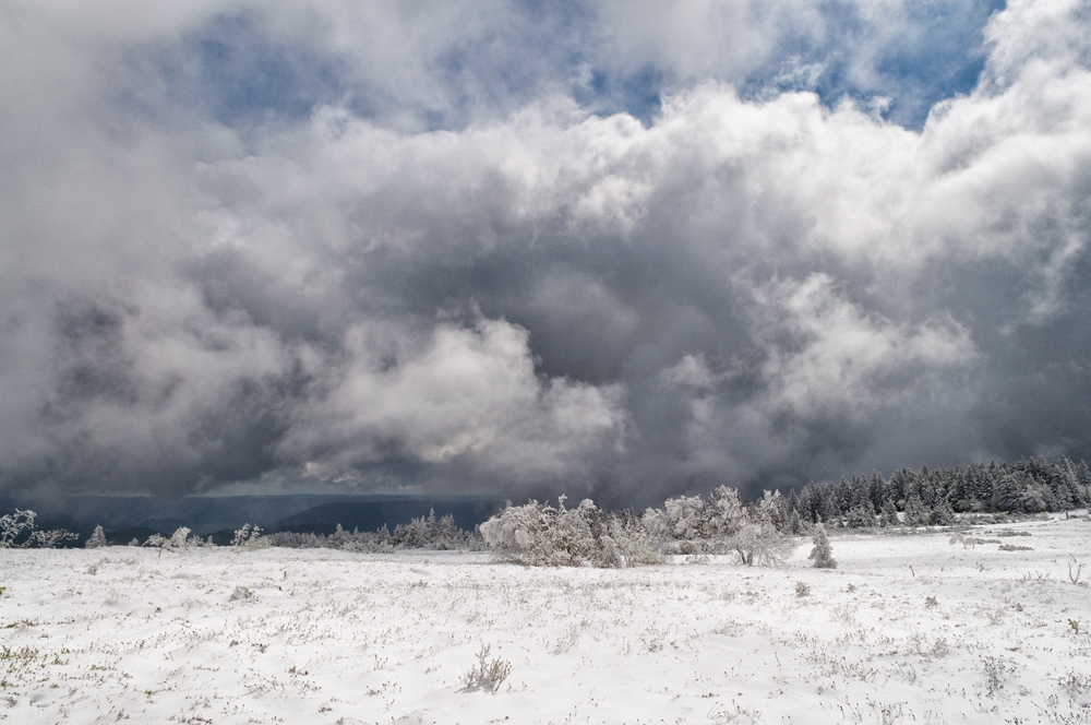 Spätwinter im Mai