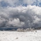 Spätwinter im Mai