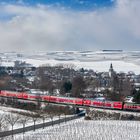 Spätwinter in Rheinhessen 2013