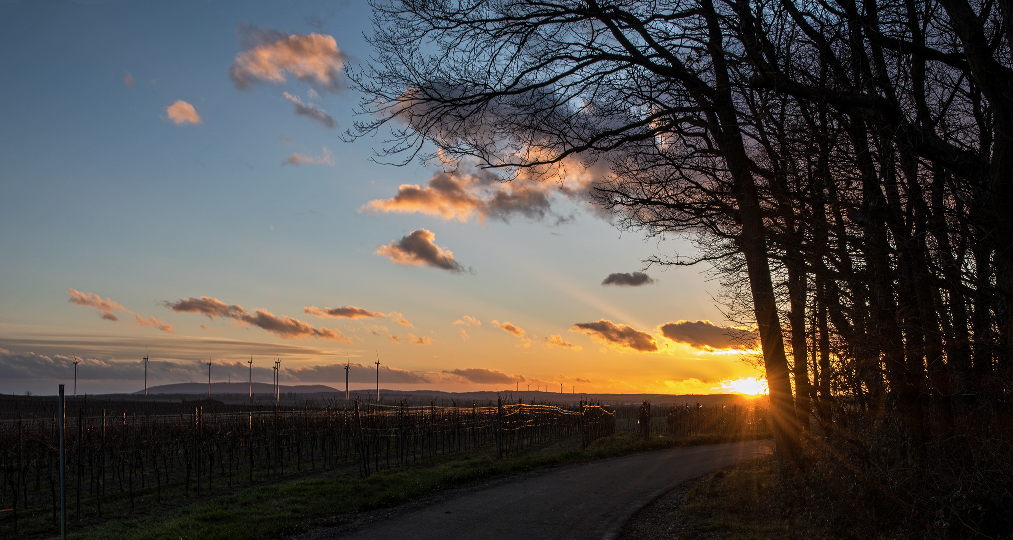 Spätwinter in Rheinhessen