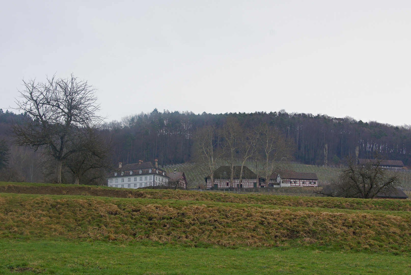 Spätwinter ums Weingut Kesselring