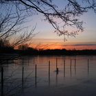 Spätwinterabend am Weißenstädter See