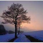 Spätwinterabend in der Großen Au