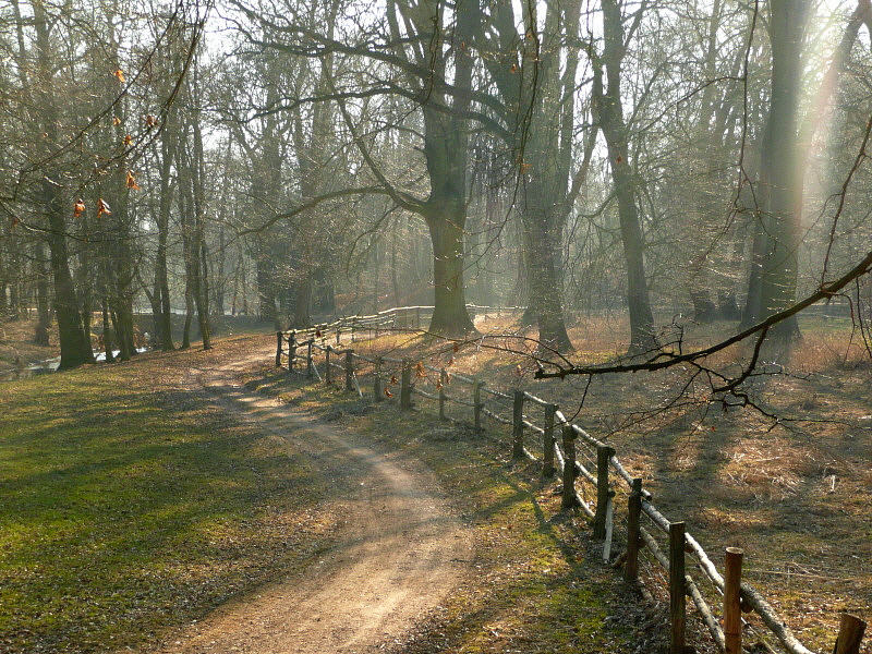 Spätwintersonne