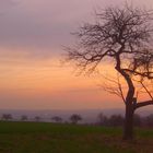 SpätWinterStimmung über dem Westerwald bei Rengsdorf