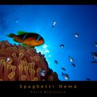 Spaghetti Nemo