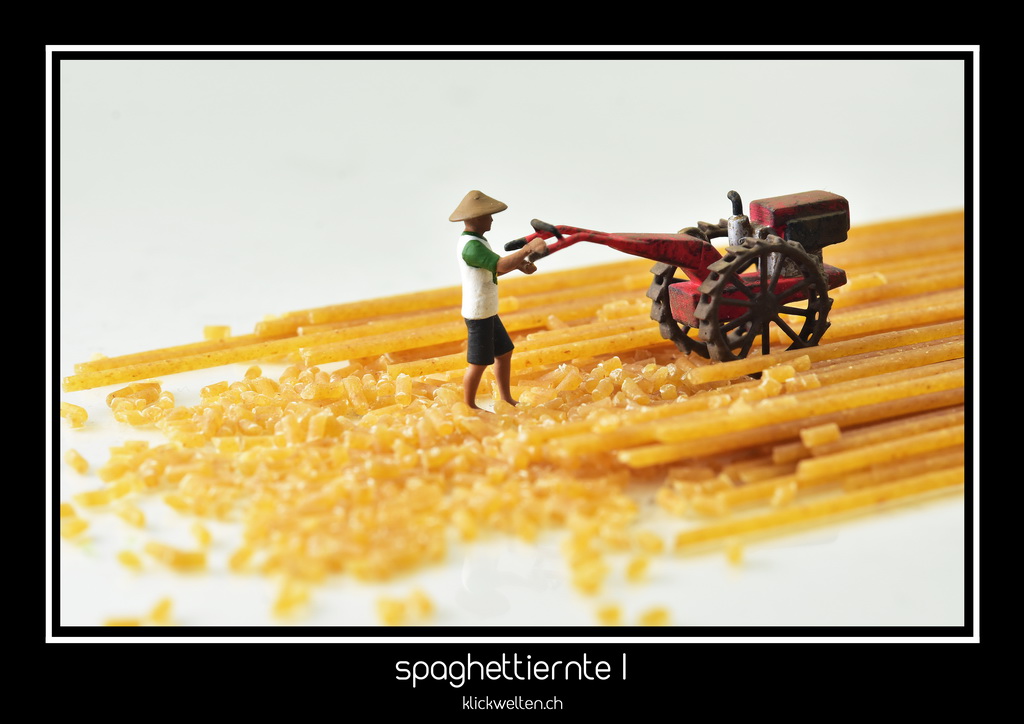 spaghettiernte I