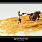 spaghettiernte I