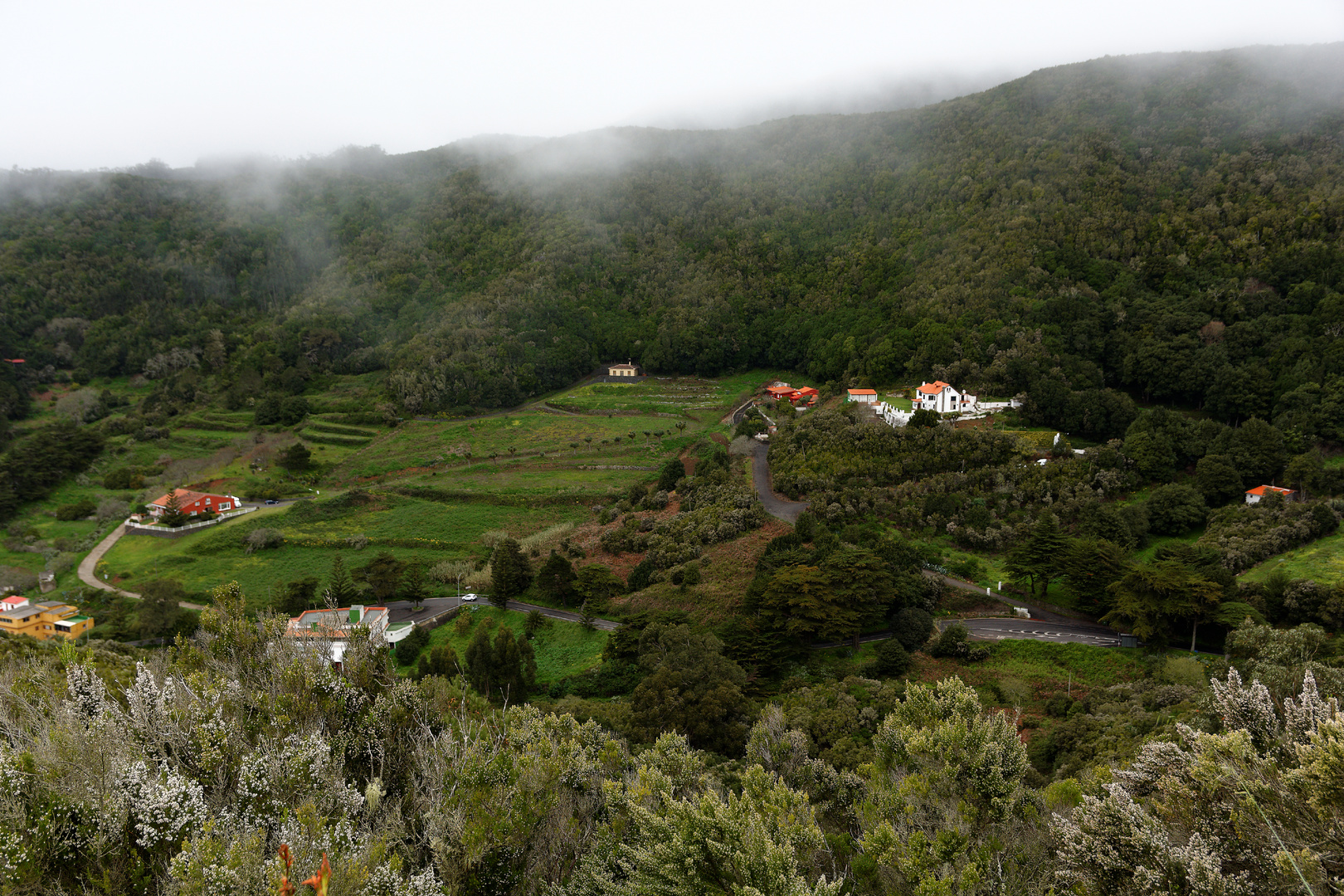 Spain Tenerife / San Cristobal de La Laguna