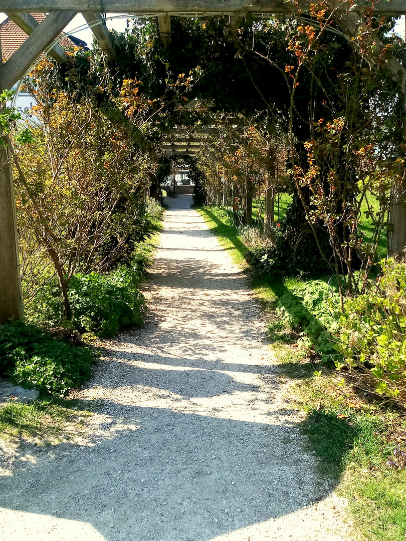 Spalier auf der Frauninsel