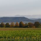 Spalier vor der Wurmlinger Kapelle