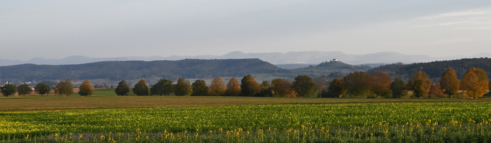 Spalier vor der Wurmlinger Kapelle