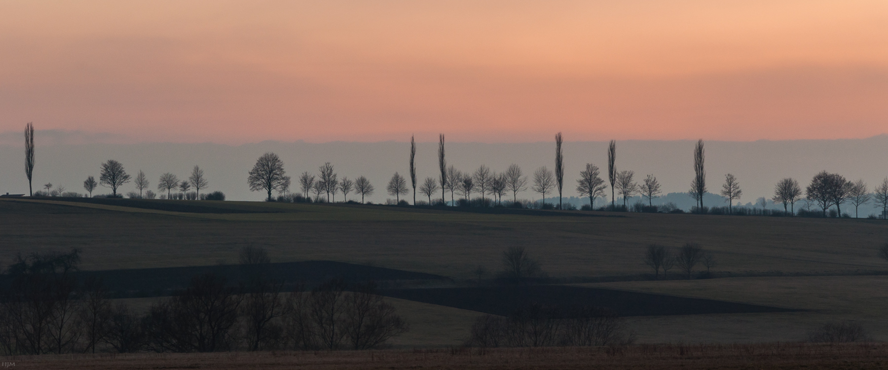 Spalier zum Abendrot