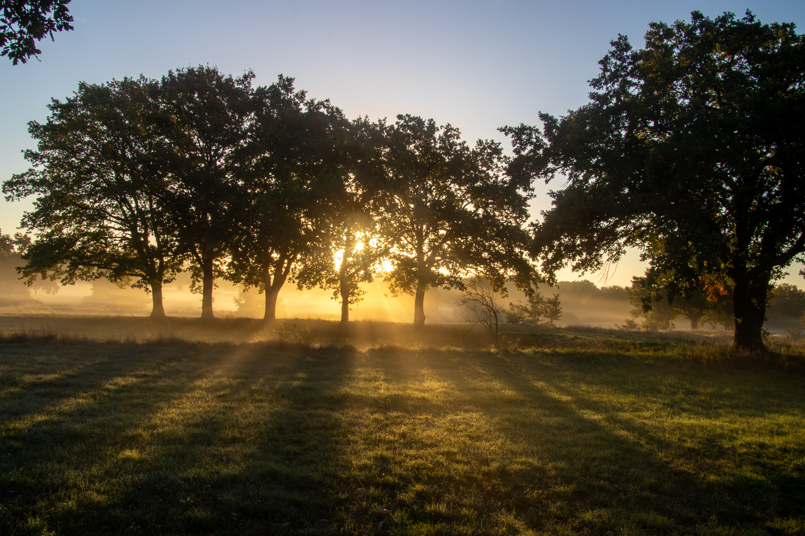 Spandau Sonnenaufgang