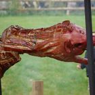 Spanferkelbraten, roast suckling pig
