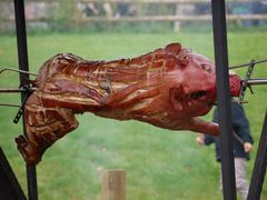 Spanferkelbraten, roast suckling pig