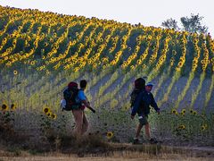 Spanien - Camino Frances