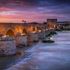 Spanien - Cordoba - die Römische Brücke