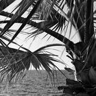 Spanien Dezember 2011