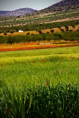 Spanien im Frühling