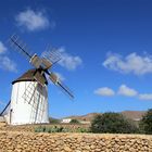 Spanien - Kanarische Inseln - Fuerteventura III.